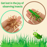 Laden Sie das Bild in den Galerie-Viewer, Simulated Insect Observation Box Toy