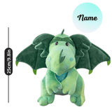 Laden Sie das Bild in den Galerie-Viewer, Name Personalized Dinosaur Stuffed Animal Cute T Rex Plush Toy for Boys Girls Birthday Gifts Flying Dragon 25cm