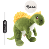 Laden Sie das Bild in den Galerie-Viewer, Name Personalized Dinosaur Stuffed Animal Cute T Rex Plush Toy for Boys Girls Birthday Gifts Spinosaurus
