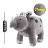 Laden Sie das Bild in den Galerie-Viewer, Name Personalized Dinosaur Stuffed Animal Cute T Rex Plush Toy for Boys Girls Birthday Gifts Gray Triceratops