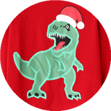 Laden Sie das Bild in den Galerie-Viewer, 2-7 Years Old Kids Dinosaur Pajamas Set Christmas Theme Printed Soft Sleepwear Holiday Pjs