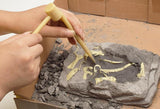 Laden Sie das Bild in den Galerie-Viewer, 11 Different Dinosaurs Skeleton Excavation Dig Up DIY Take Apart Dino Fossil Model Kit Toys with Goggles