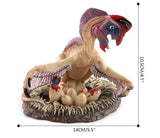 Laden Sie das Bild in den Galerie-Viewer, 6‘’ Realistic Oviraptor Dinosaur Solid Figure Model Toy Decor