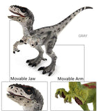 Laden Sie das Bild in den Galerie-Viewer, 7‘’ Realistic Velociraptor Dinosaur Solid Figure Model Toy Decor with Movable Jaw and Arm