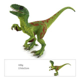 Laden Sie das Bild in den Galerie-Viewer, 7‘’ Realistic Velociraptor Dinosaur Solid Figure Model Toy Decor with Movable Jaw and Arm Green